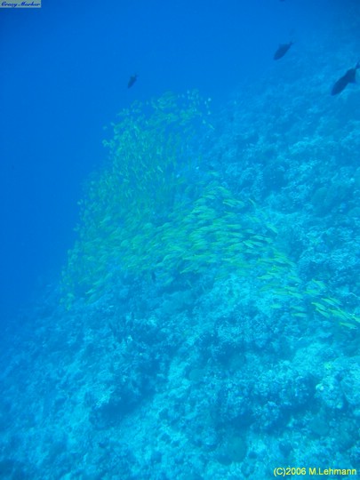 IMG_3053.JPG