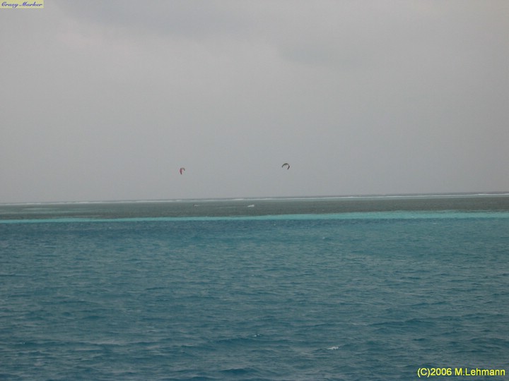 IMG_3113.JPG