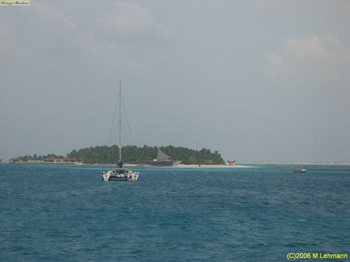 IMG_3117.JPG