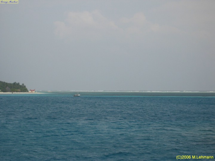IMG_3118.JPG