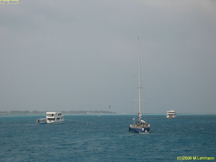 IMG_3119.JPG