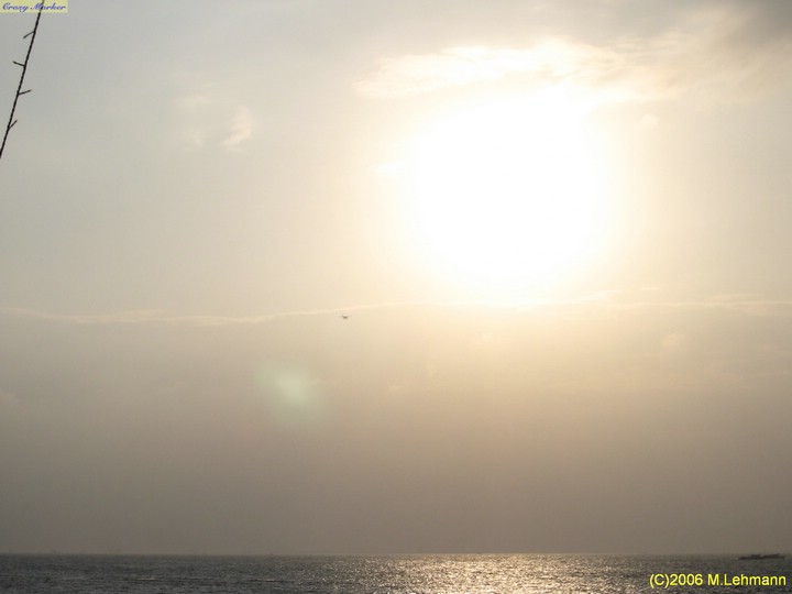 IMG_3122.JPG