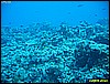 IMG_3007.JPG