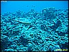IMG_3008.JPG