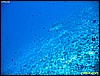 IMG_3014.JPG