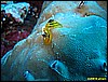 IMG_3020.JPG