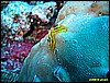 IMG_3021.JPG