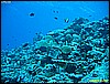 IMG_3024.JPG
