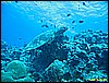 IMG_3025.JPG