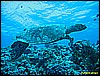 IMG_3026.JPG