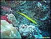 IMG_3030.JPG