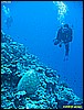 IMG_3038.JPG
