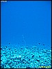 IMG_3045.JPG