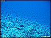 IMG_3046.JPG