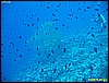 IMG_3050.JPG
