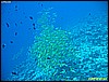 IMG_3051.JPG
