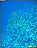 IMG_3053.JPG