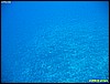 IMG_3057.JPG