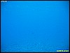 IMG_3058.JPG