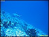 IMG_3063.JPG