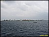IMG_3073.JPG