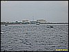 IMG_3075.JPG