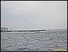 IMG_3077.JPG