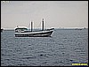 IMG_3079.JPG