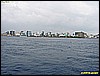 IMG_3081.JPG