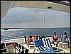 IMG_3084.JPG