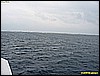 IMG_3089.JPG