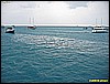 IMG_3100.JPG