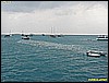 IMG_3102.JPG