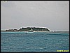 IMG_3110.JPG