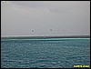 IMG_3113.JPG