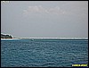 IMG_3118.JPG