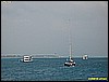 IMG_3119.JPG