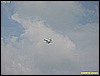IMG_3121.JPG