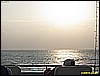 IMG_3125.JPG