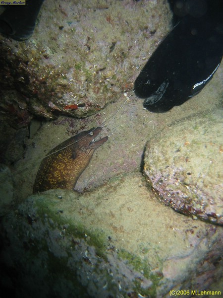 IMG_3233.JPG