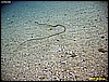 IMG_3224.JPG