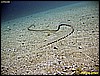 IMG_3225.JPG