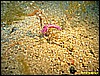 IMG_3228.JPG