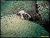 IMG_3231.JPG