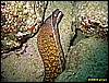 IMG_3232.JPG
