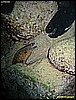 IMG_3233.JPG