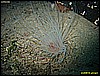 IMG_3239.JPG