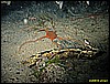IMG_3240.JPG