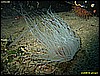 IMG_3241.JPG