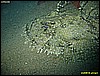 IMG_3245.JPG